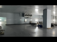 जमे हुए मांस गोमांस चिकन समुद्री भोजन शीत कक्ष