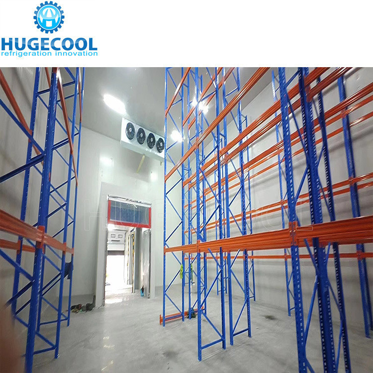 Cold Room Manufacturers for Customized Pineapple Storage and Food Beverage Industry