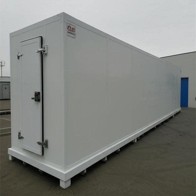 Temperature Range -45C To 20C Freezer Room System with 150mm Thickness